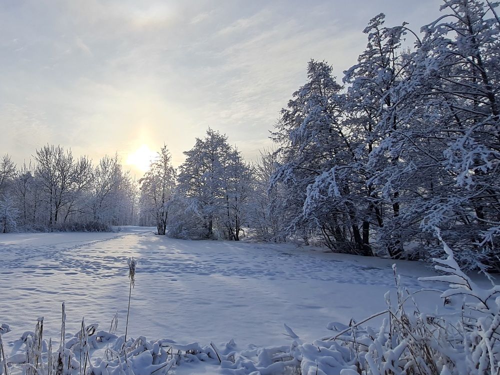 Photograph by Elena Lukashina