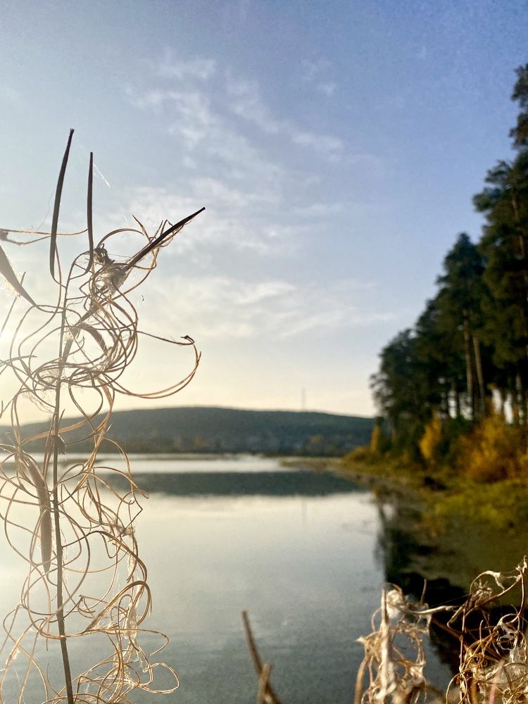 Photograph by Алина Соколова