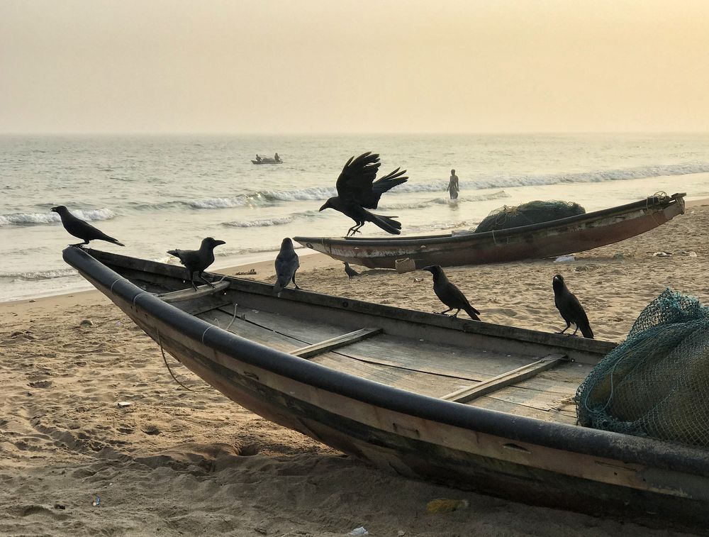 Photograph by Kaushik Dolui