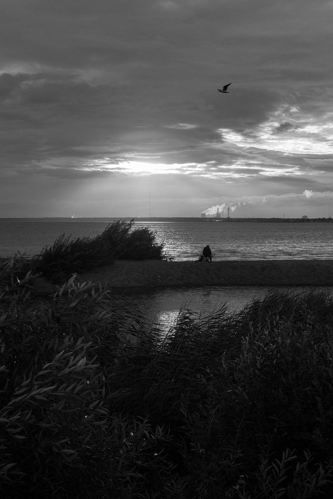 Photograph by Светлана Воробьёва