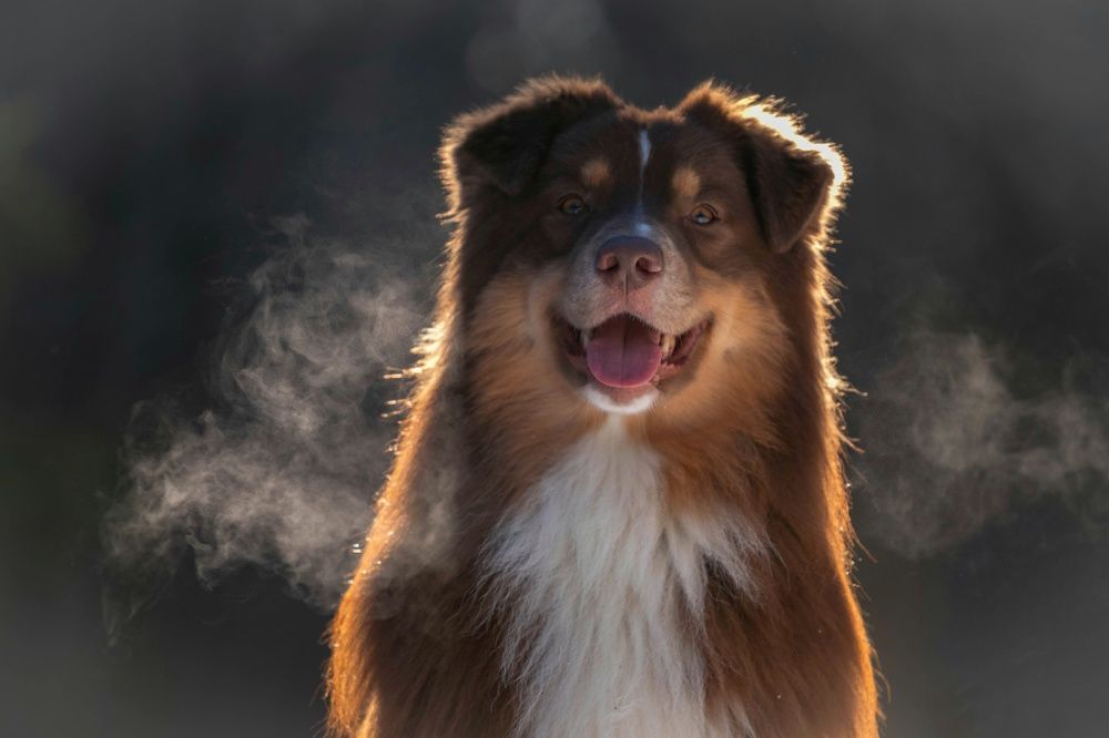 Photograph by Татьяна