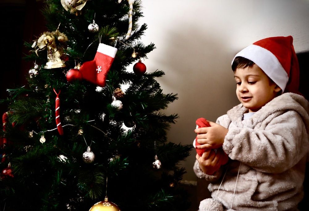 Фотография автора hanieh seyffard