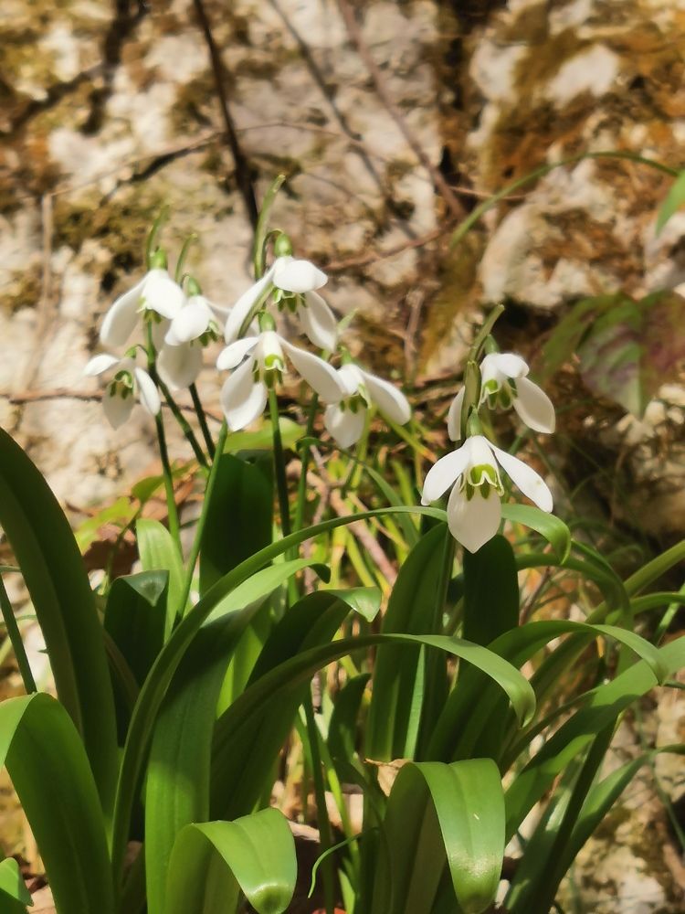 Photograph by Анастасия Бреева