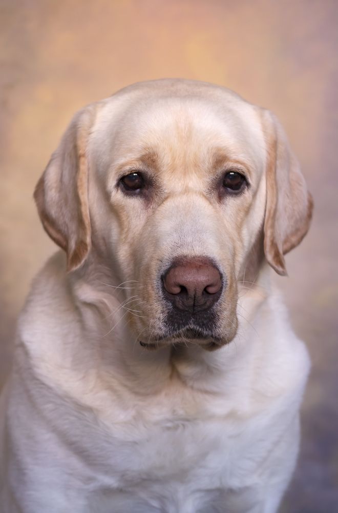 Photograph by Ольга