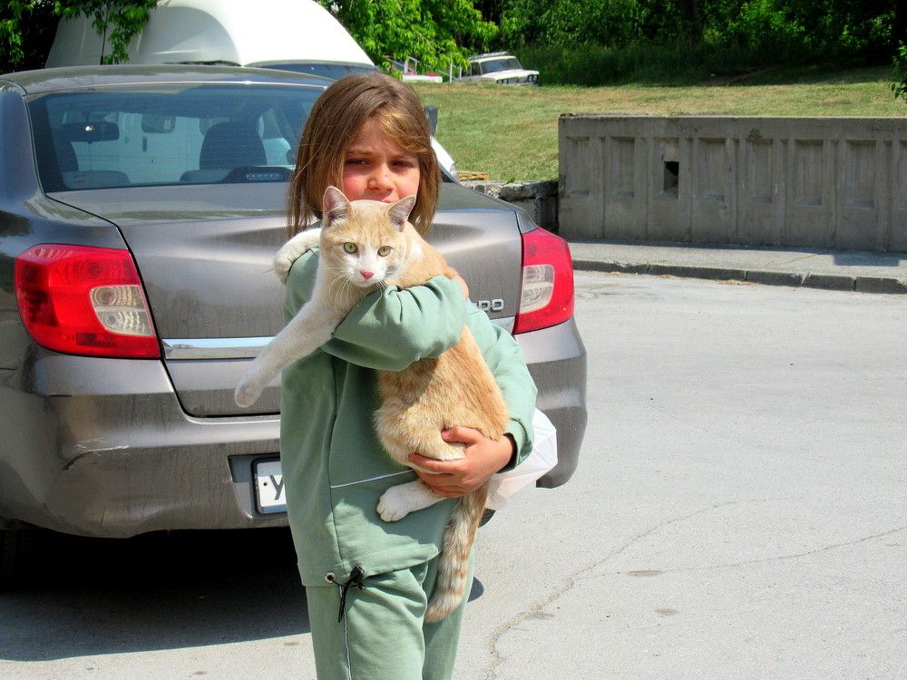 Дружеские объятия