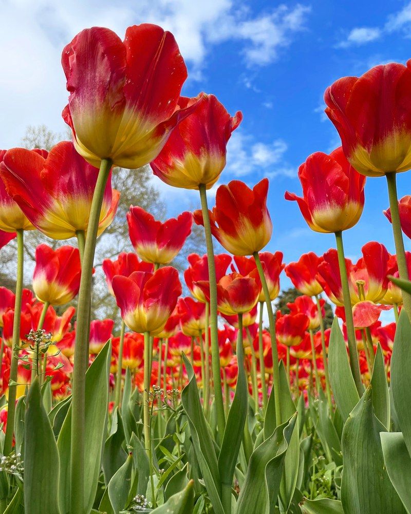 Photograph by Евгений Фесенко