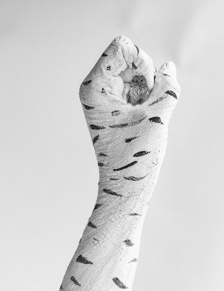 Photograph by Ольга Левакова