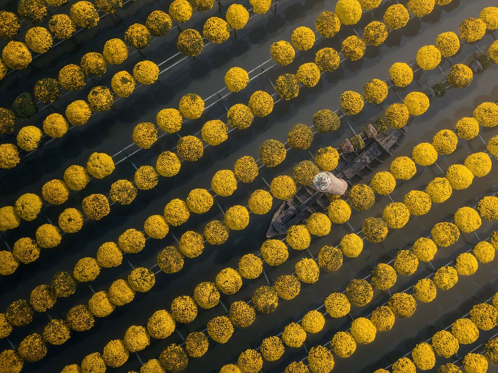 Фотография автора Thai Bao Huynh