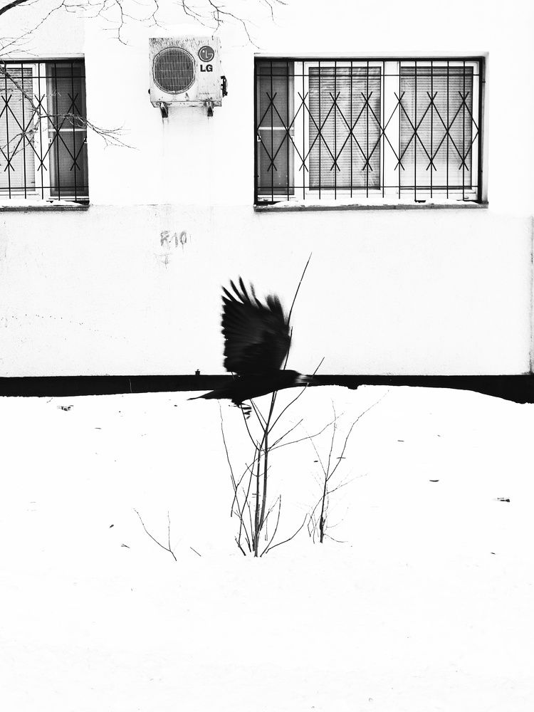 Photograph by Юлия Гришина
