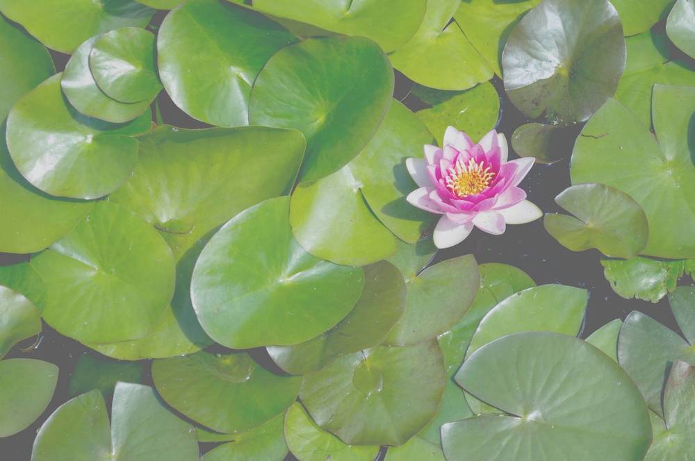 Фотография автора Mykhailo Drozdov