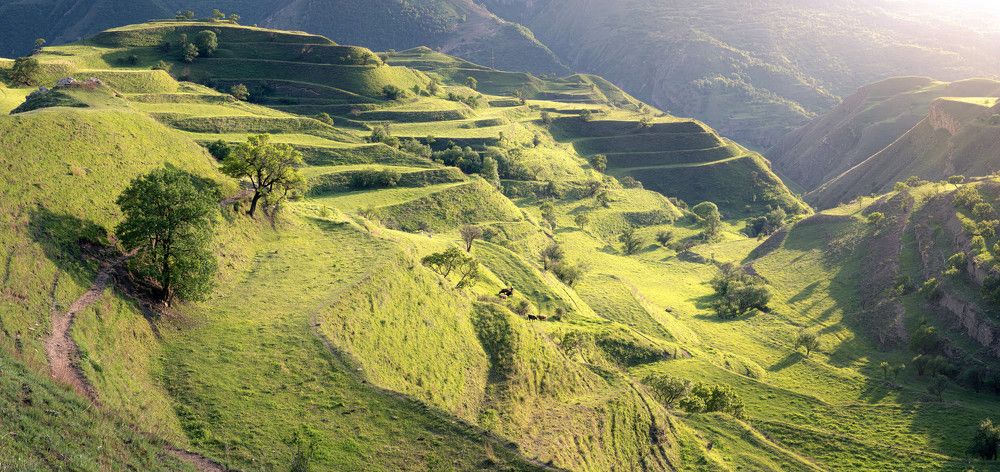 Фотография автора Александр Рудный