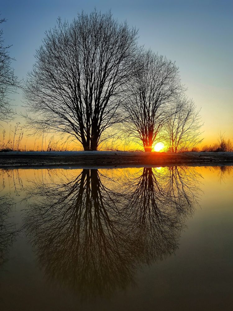 Фотография автора Андрей Шестаков