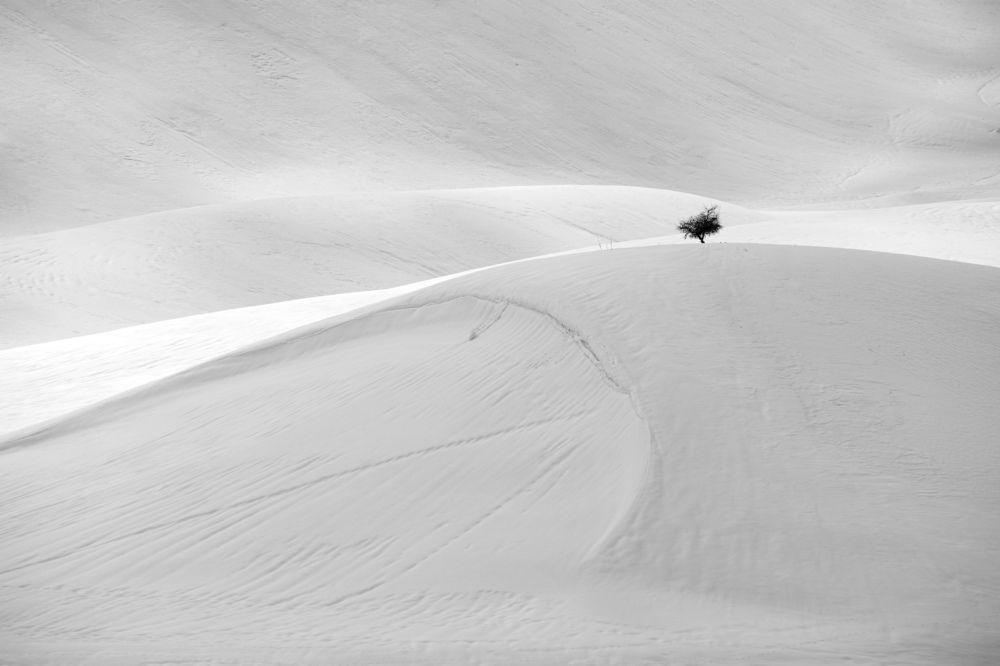 Фотография автора mohammad Alipour