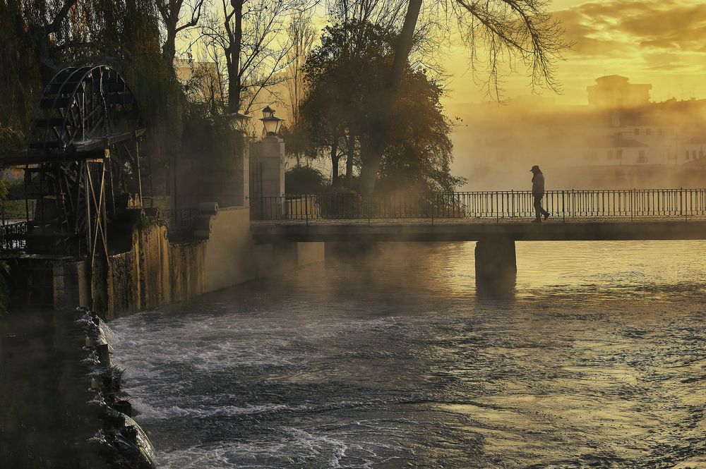 Photograph by Borsan Claudiu Valentin