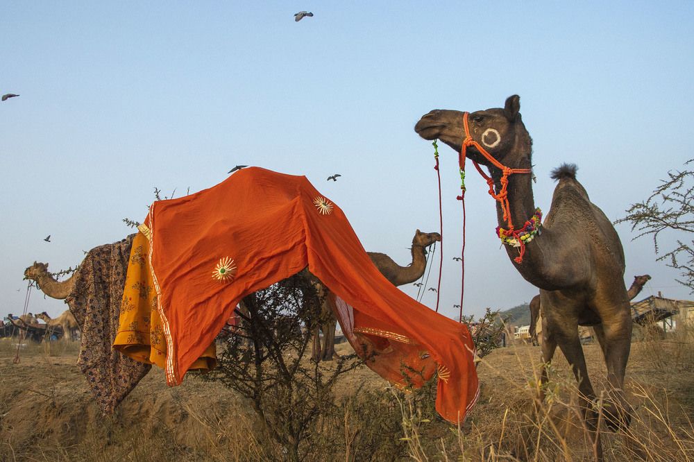 Photograph by Puspita Chowdhury