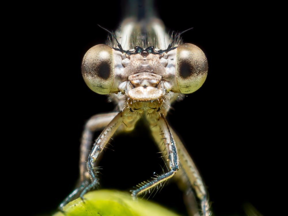 Photograph by Jose Martin Ceja Medina