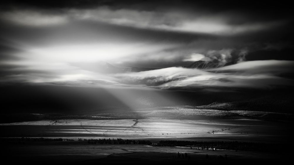 В Курайской степи