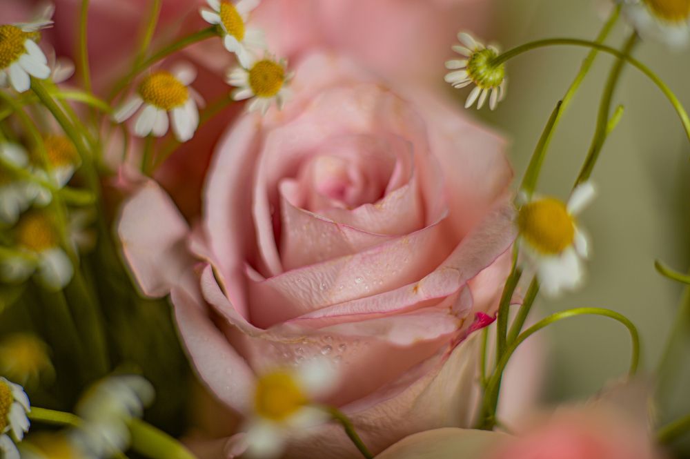 Photograph by Олег Ващилко