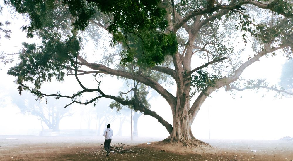 Photograph by Yash Singh