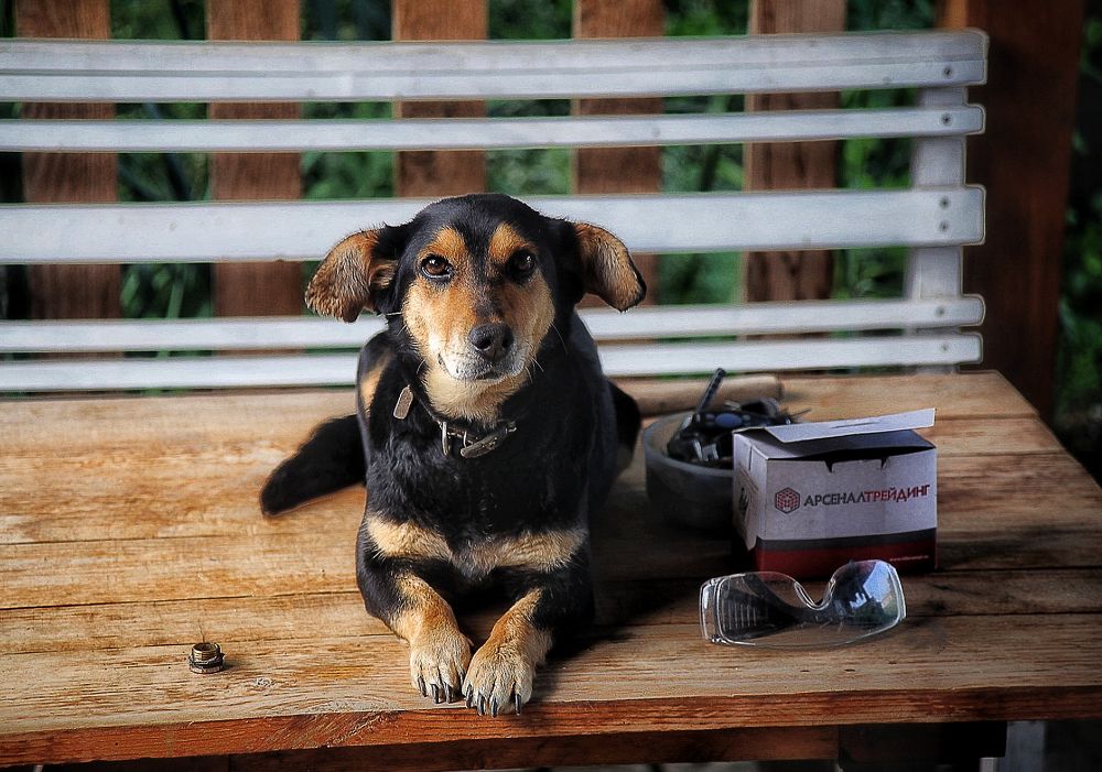 Photograph by Alex Shvedoff