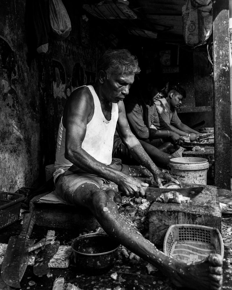 Photograph by Zinda Shaik Mohideen M