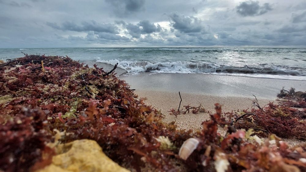 О, Море море