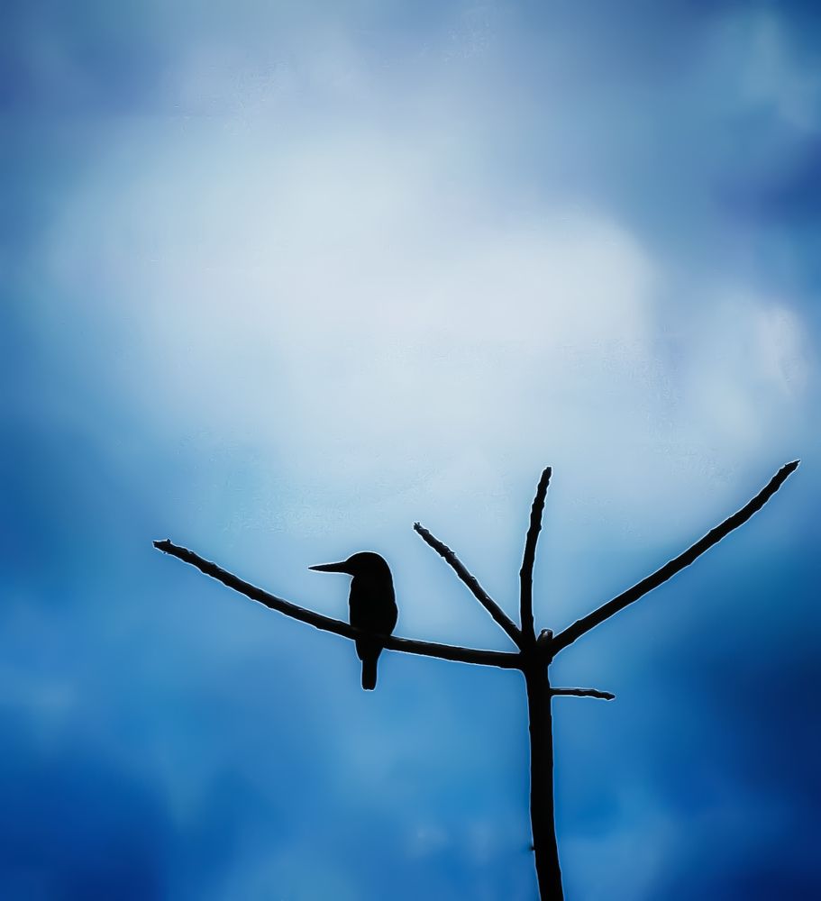 Waiting