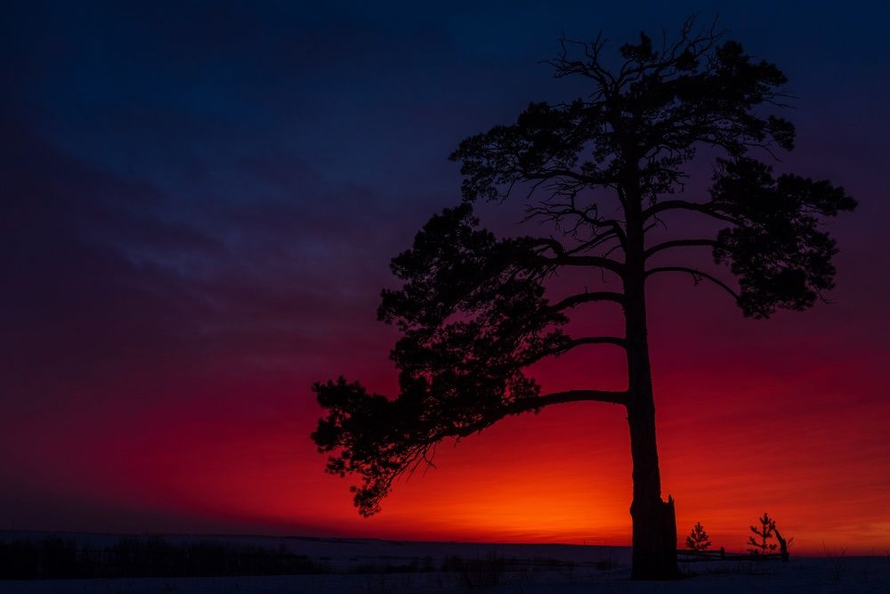 Photograph by Давыдова Гульгена