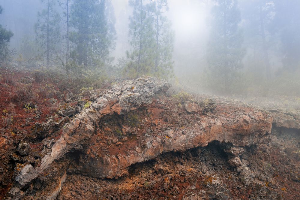 Фотография автора Inga Ivanova