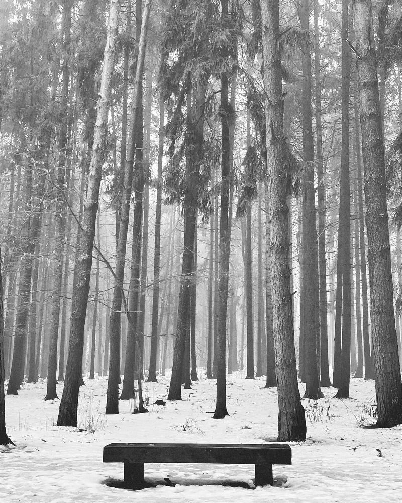 Photograph by Светлана Таркан