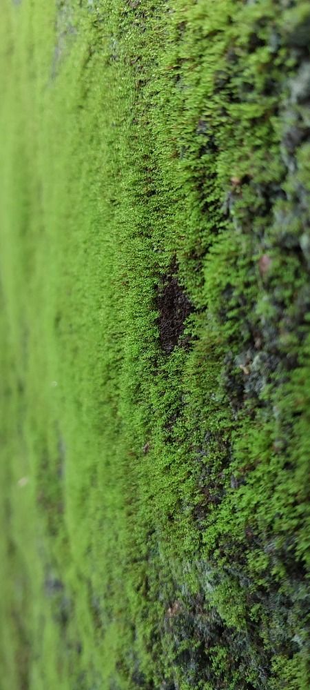 Photo #10380505