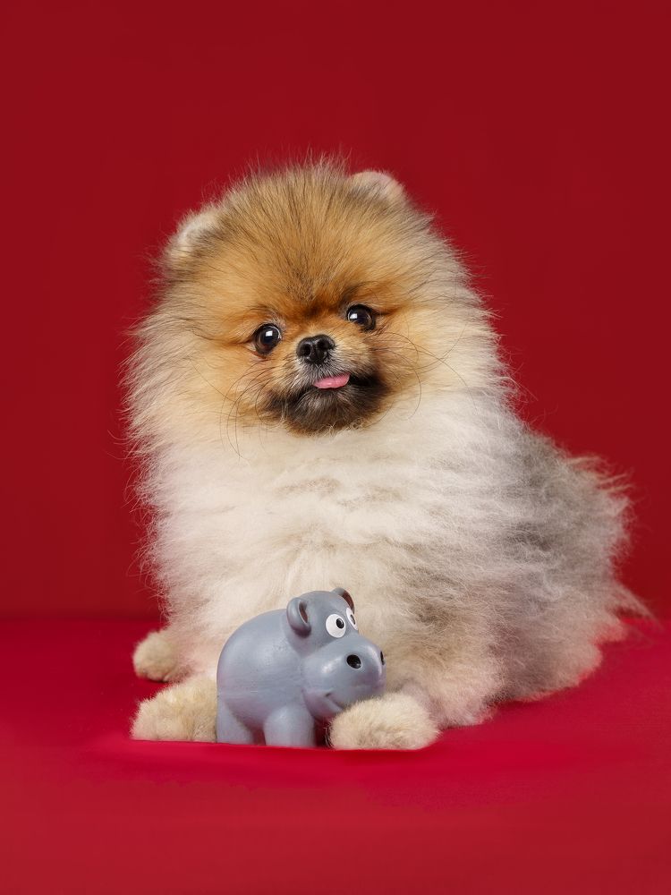 Photograph by Владимир Лиепин