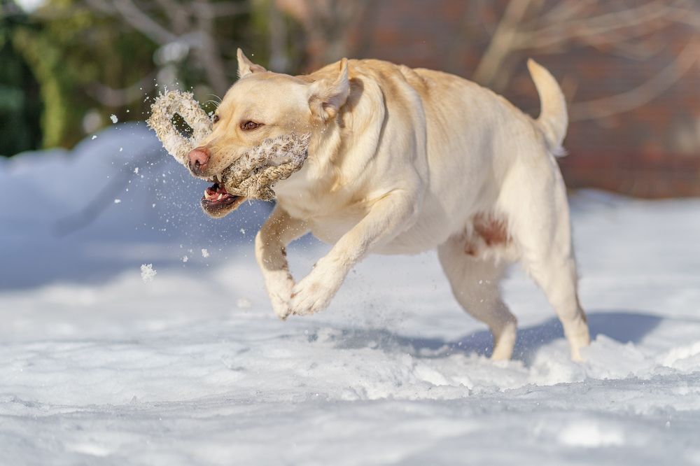 Photograph by Владимир Лиепин