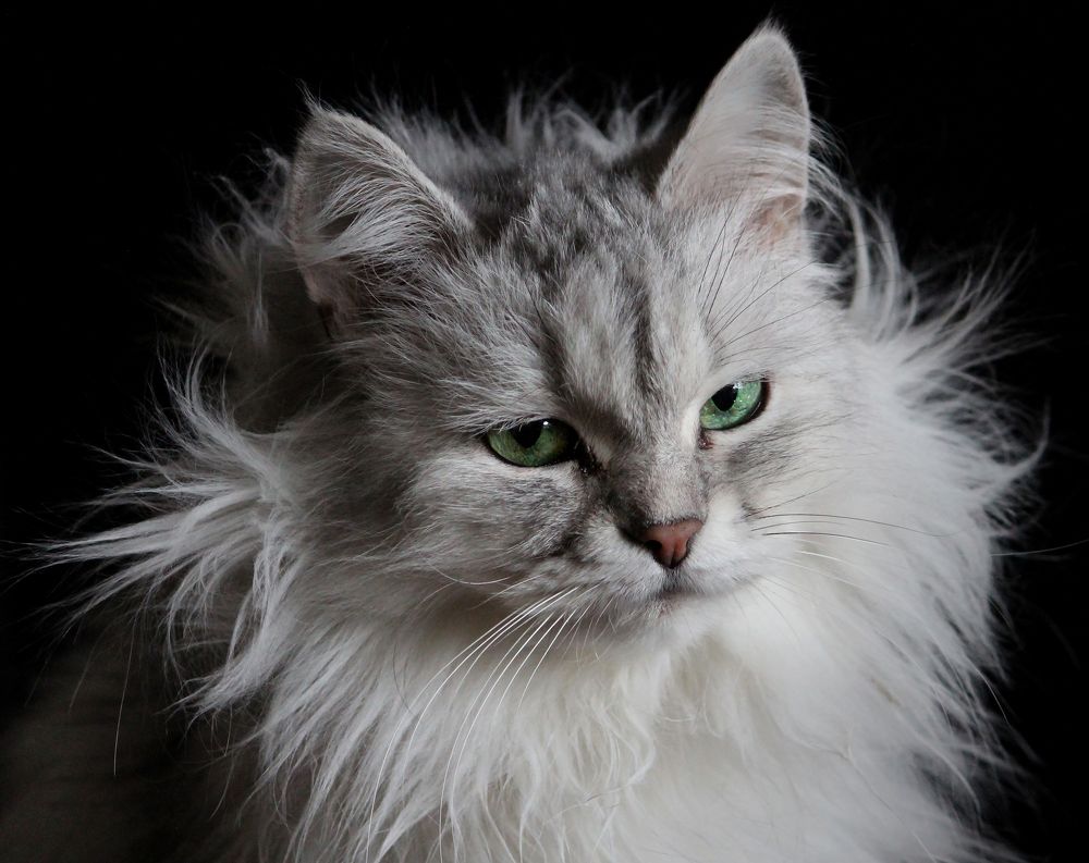 Photograph by Зоя Быкова