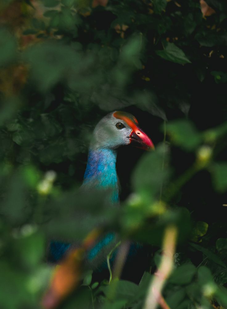 Photograph by Kasun Wickramasinghe