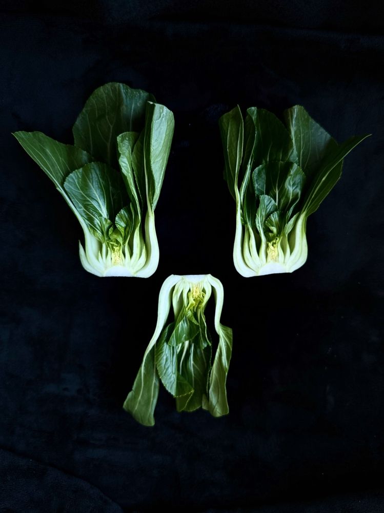 Photograph by Irina Kolotova