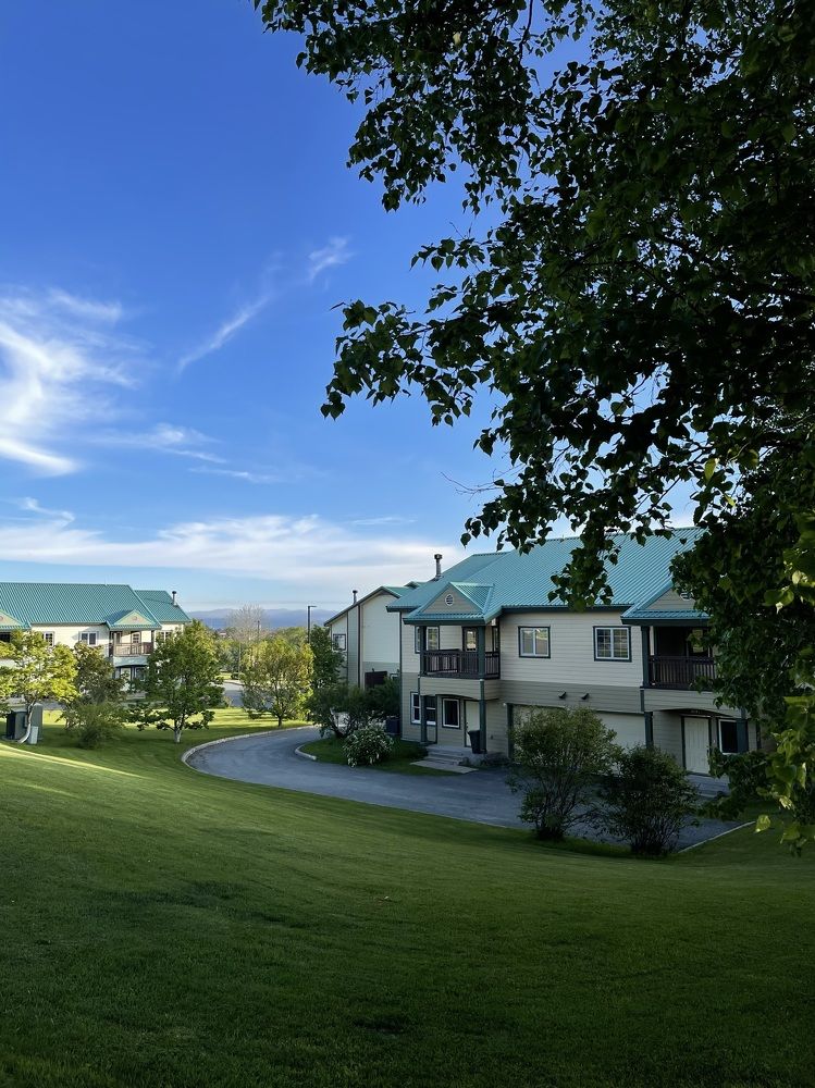 Фотография автора Елена Меньшикова