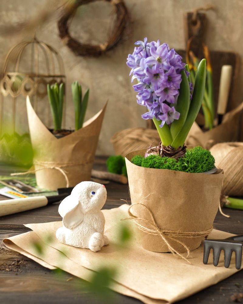 Photograph by Нина Кулинцева