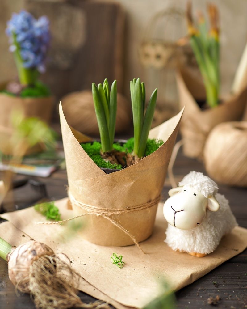 Photograph by Нина Кулинцева