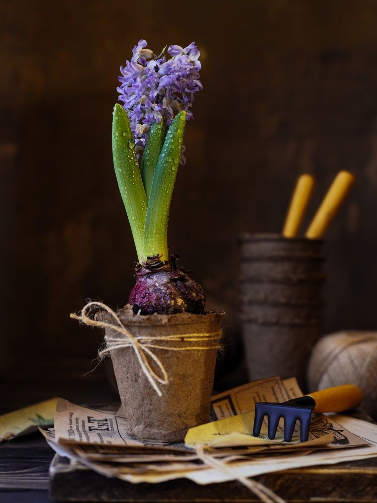 Photograph by Нина Кулинцева