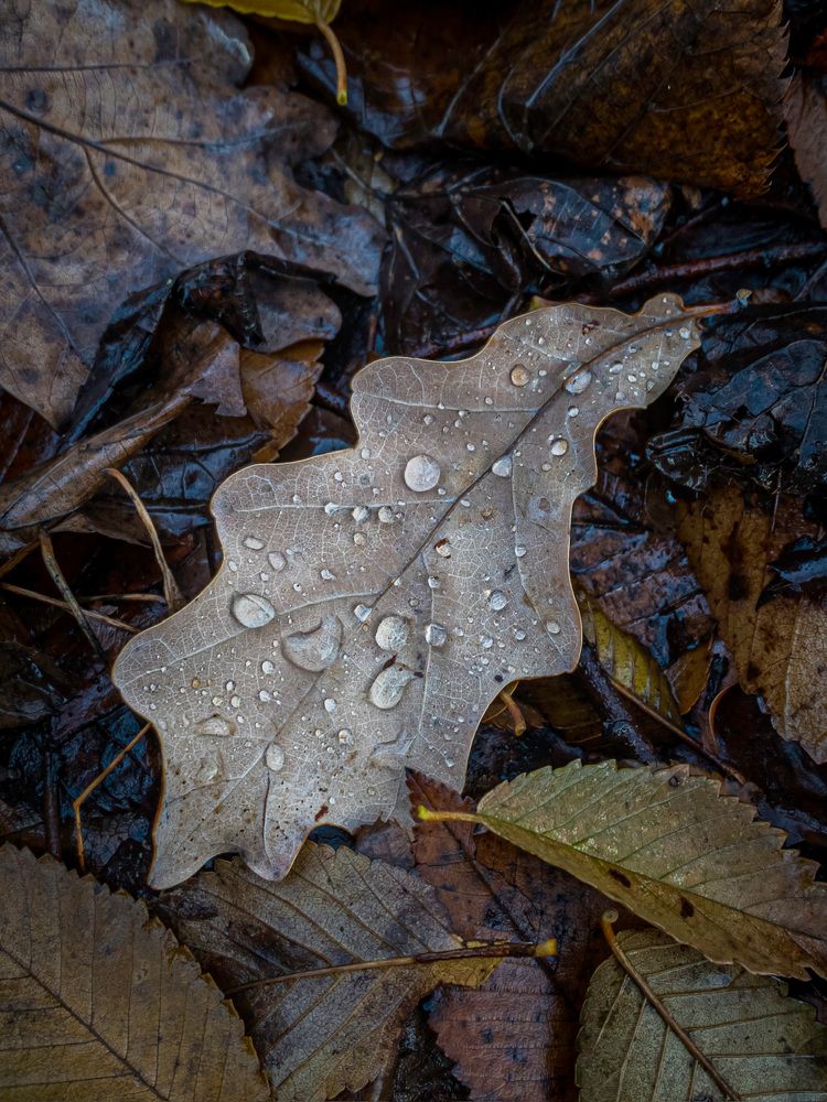 Photograph by Хавронина Марина