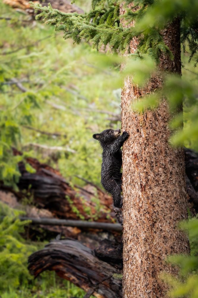 Photograph by Victoria Harris