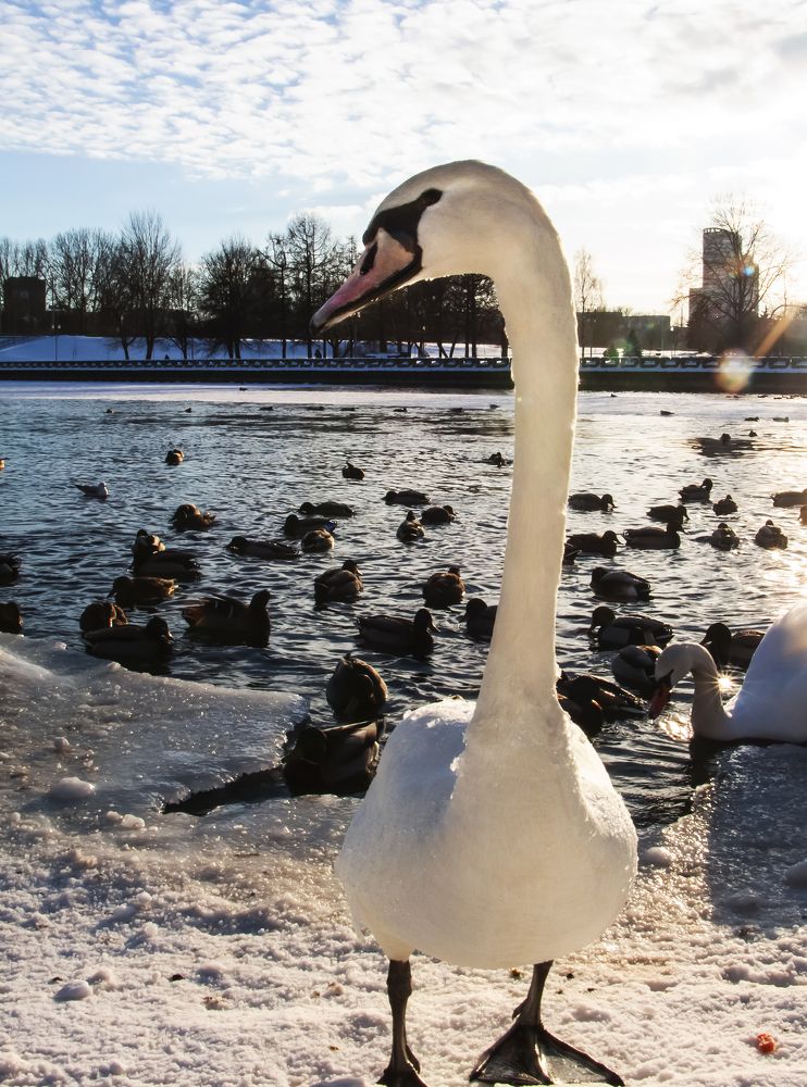 Photograph by Наталья Овчинникова