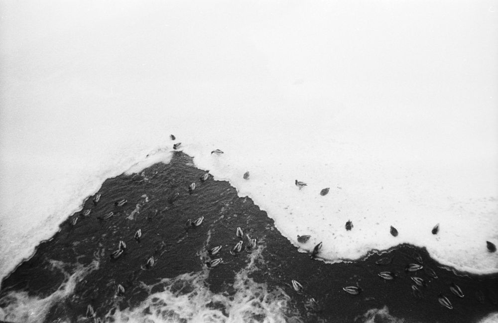 Фотография автора Александра Ерлинекова