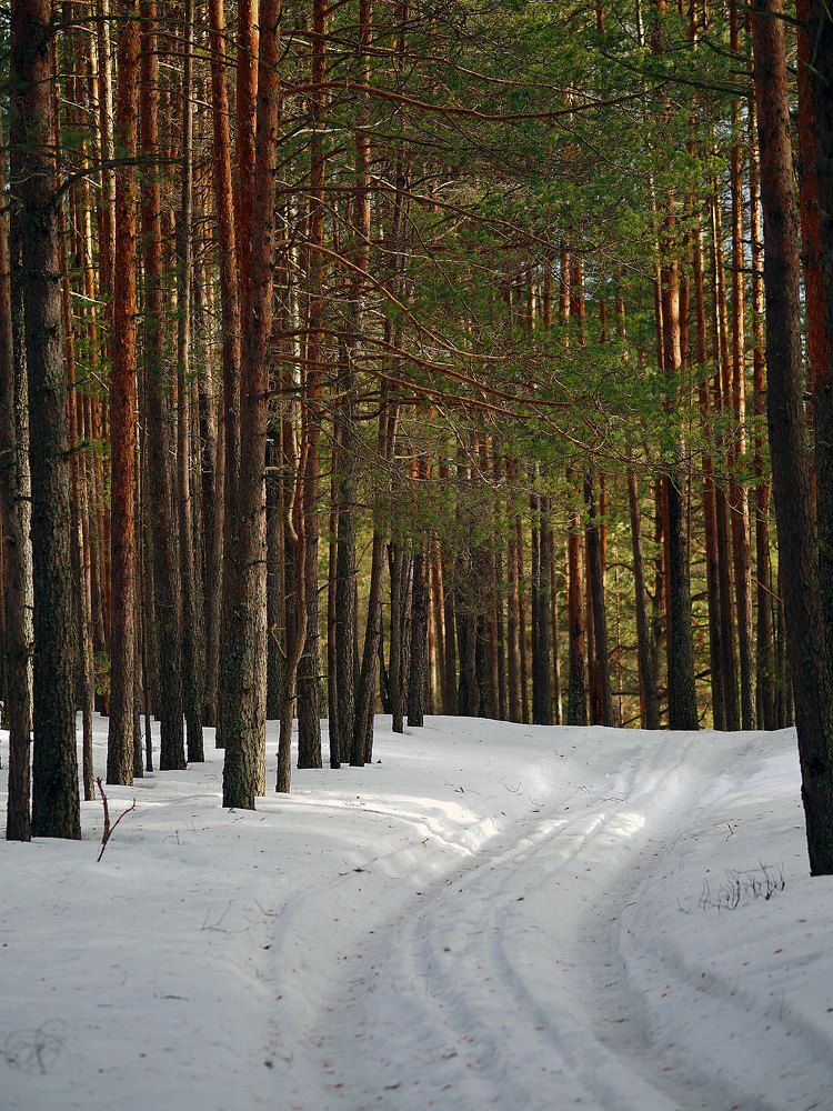 Photograph by Алексей Гнедовский