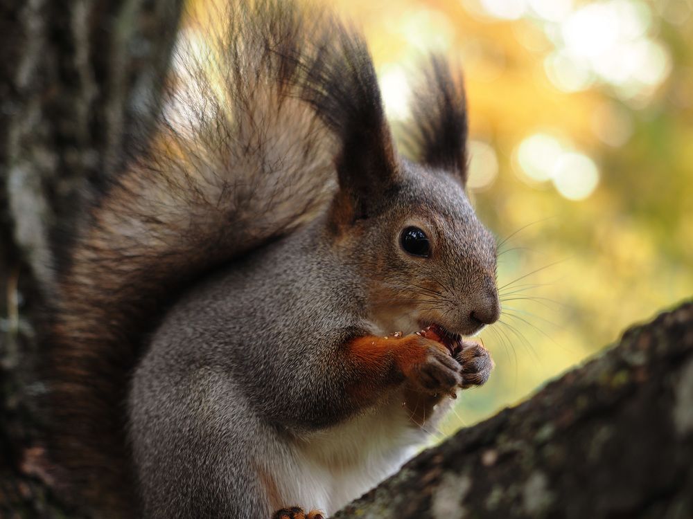 Photograph by Алексей Гнедовский