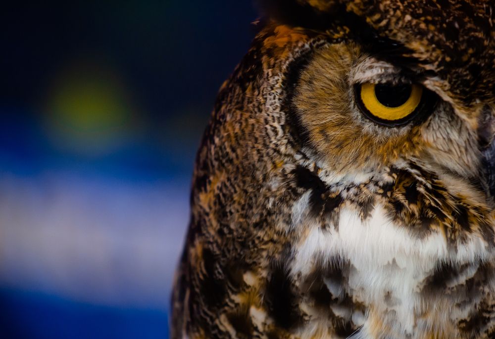 Photograph by Ignacio Ramos