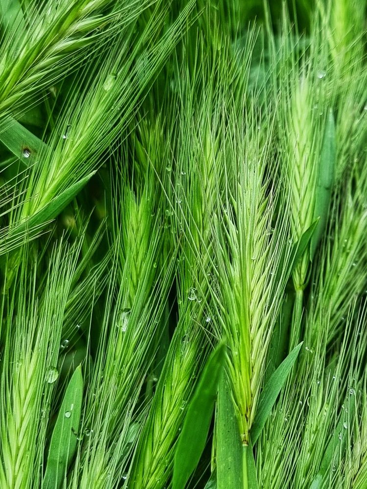 Photograph by Константин Дядюн