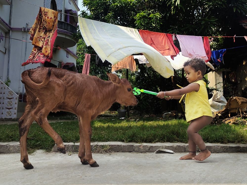 Photograph by Srijan Kundu