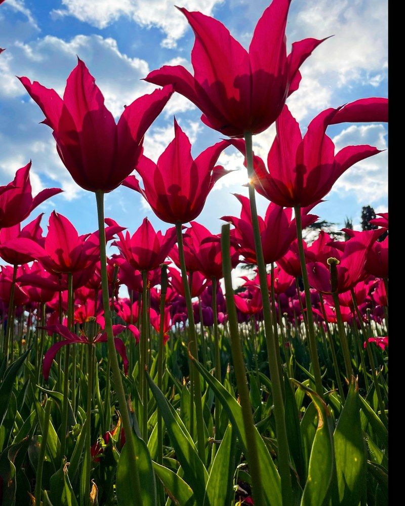 Photograph by Евгений Фесенко